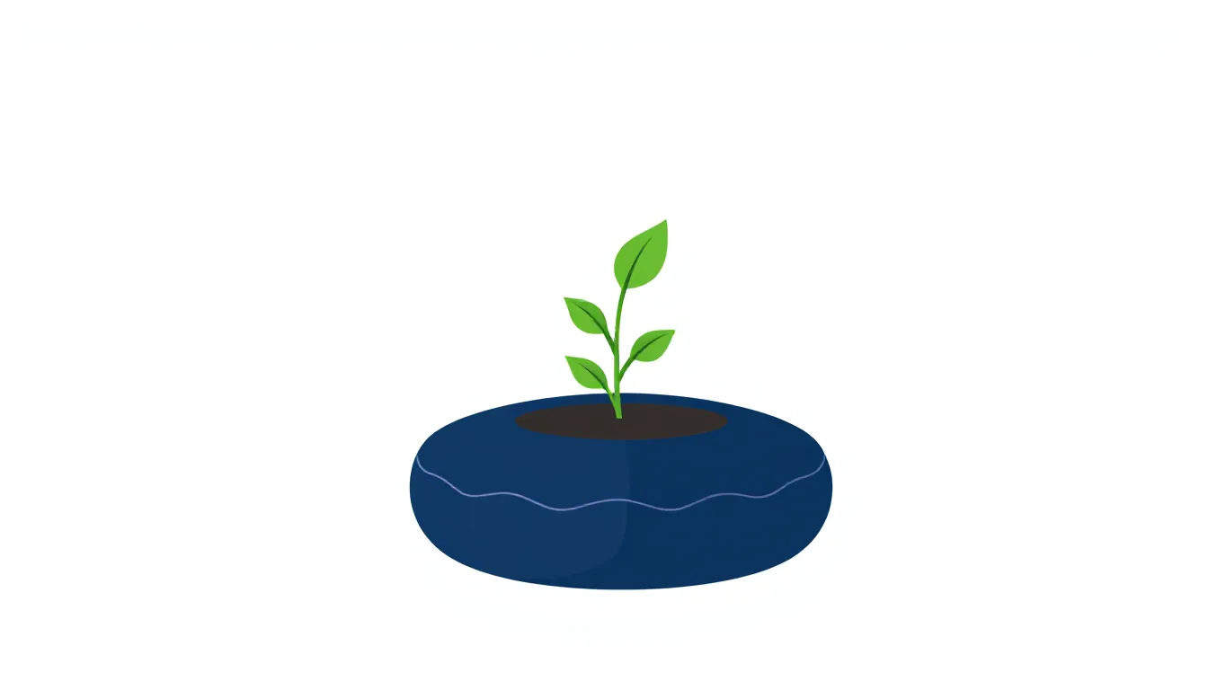 A small seedling growing out of a round meditation cushion